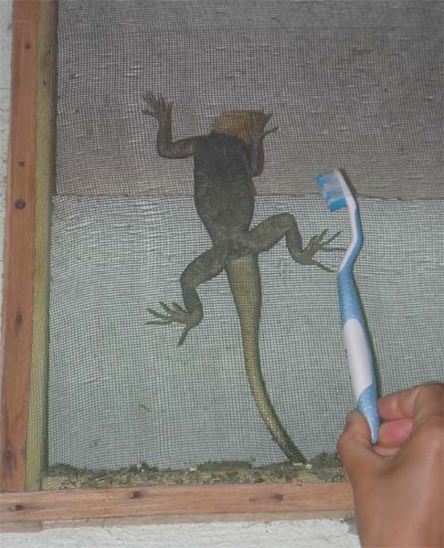 Diapositive suivante